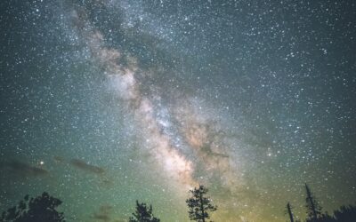 食べることは“宇宙との交歓”？：いのちの循環を意識する食卓