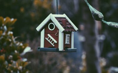 住まいと心のつながり：癒しの空間をデザインする