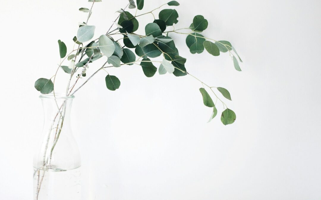 green leaf plant