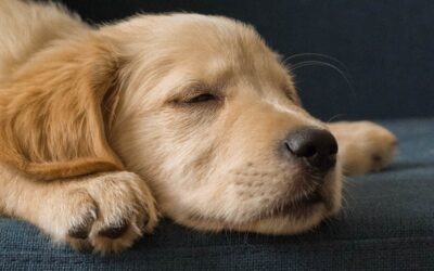 質の良い睡眠をとるコツ