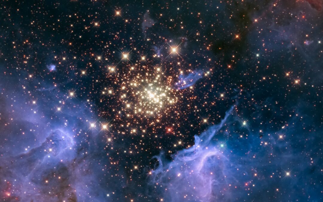 小宇宙として生きるという選択