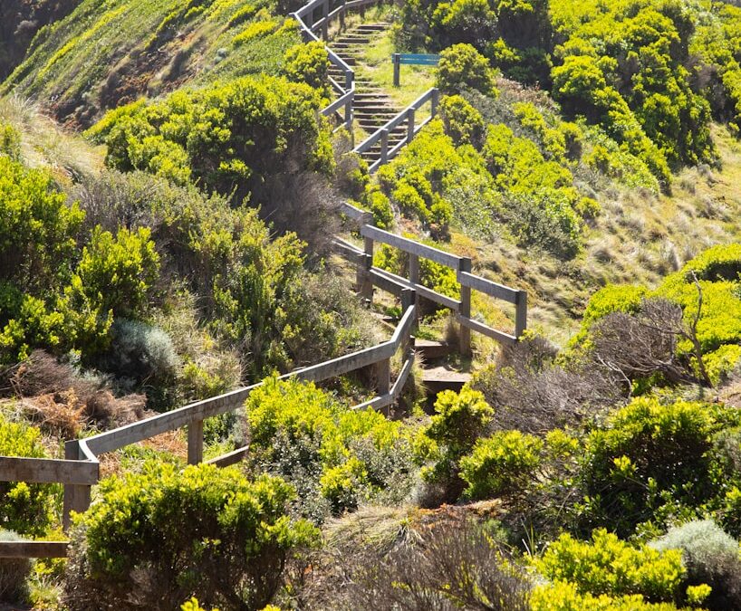 a group of wooden steps going up a hill