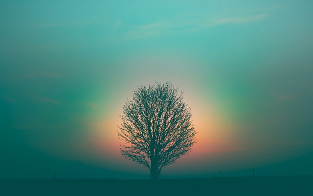 leafless tree under purple sky